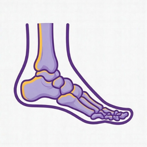 Orthopedic EHR built to support comprehensive bone, joint, and mobility care with streamlined clinical workflows.